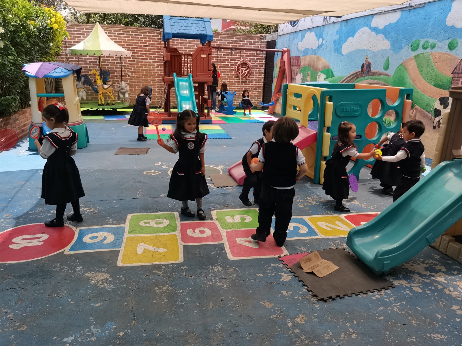 Actividad 6